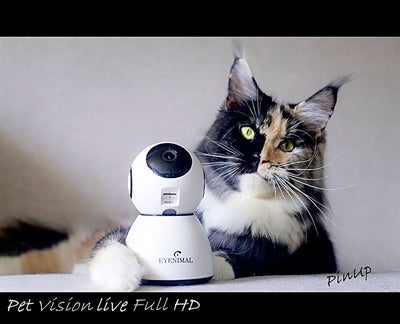 Eyenimal Pet Vision Live Hd Kamera